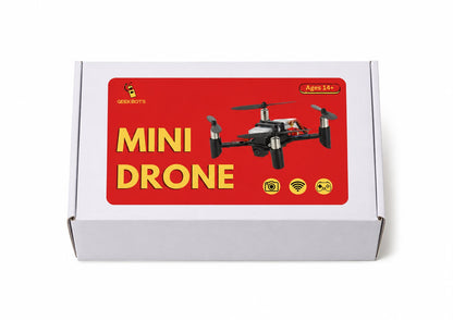 Mini Drone
